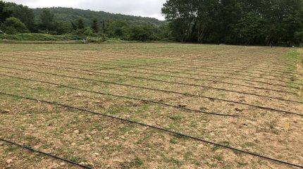 Tarım Projesi – Beykoz Köyleri